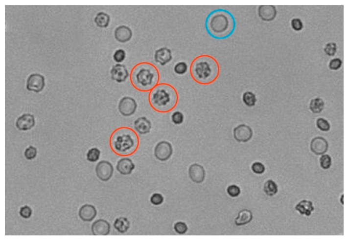 Figure 4