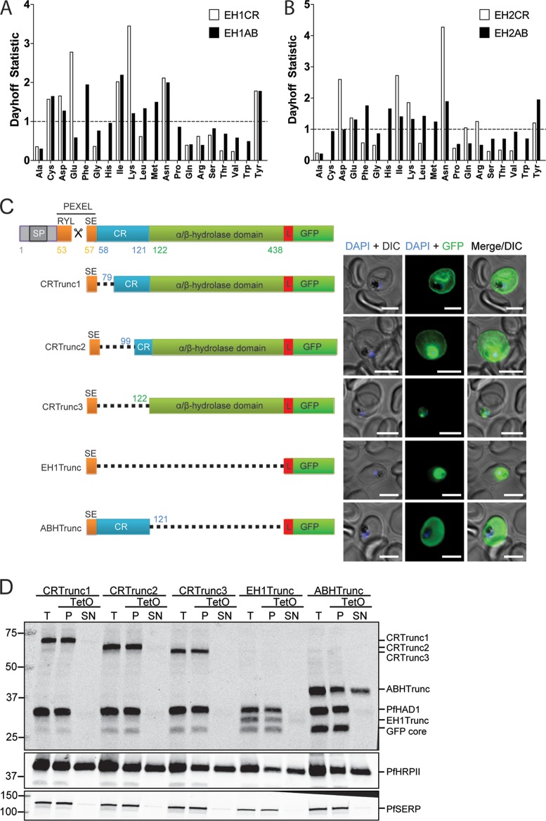 FIG 3 