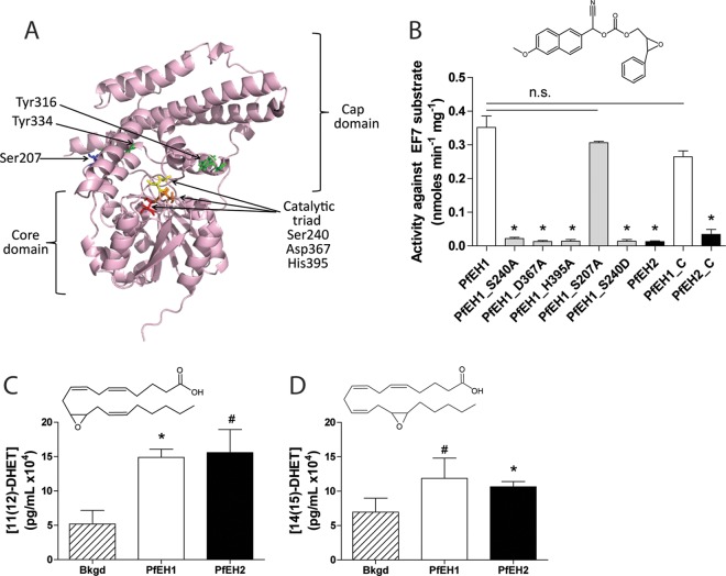 FIG 4 