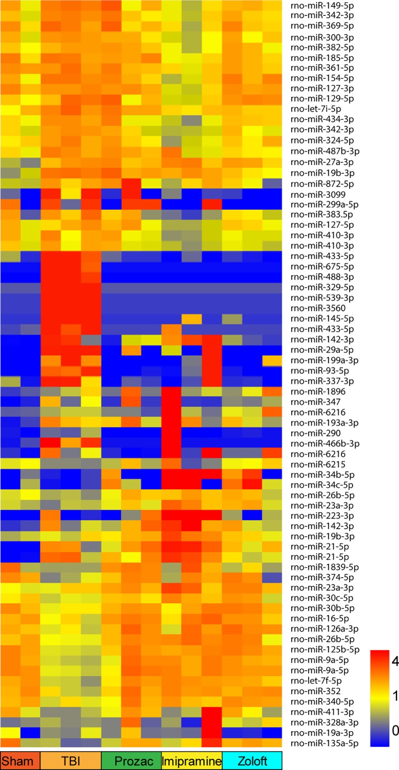 Fig 5