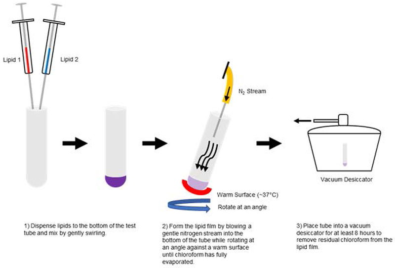 Figure 2.