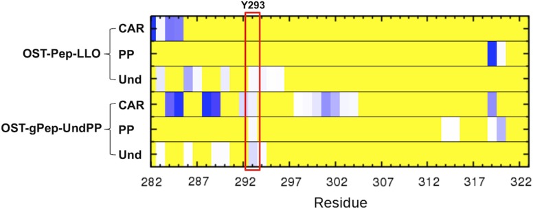 Fig. 10.