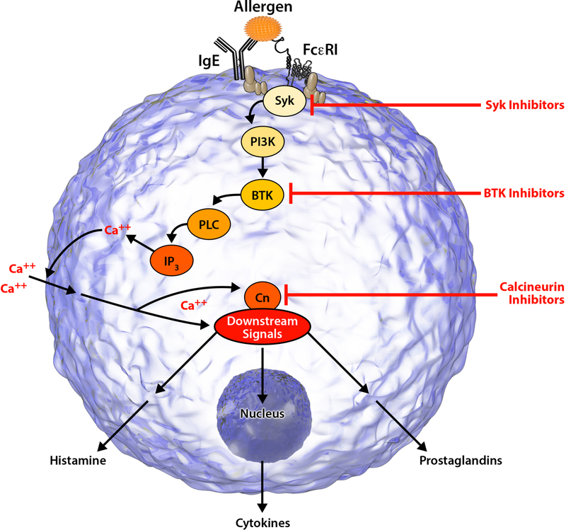 Figure 2: