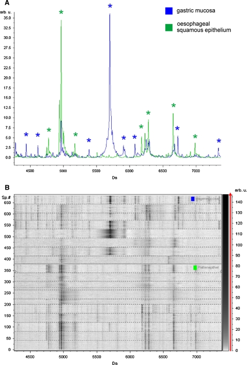 Fig. 6