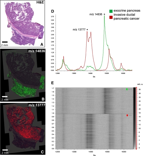 Fig. 2