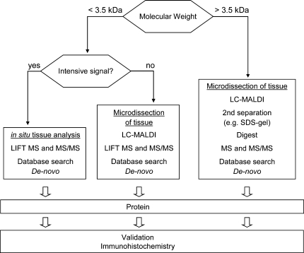 Fig. 7