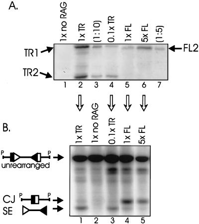 FIG. 7