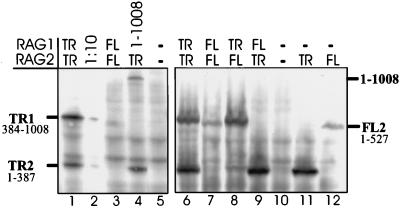 FIG. 6