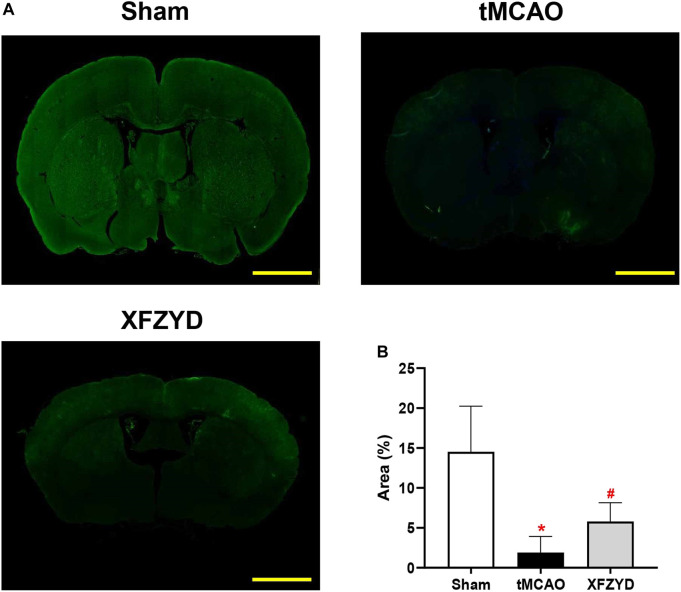 FIGURE 3