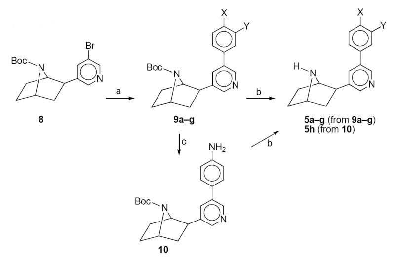 Scheme 1