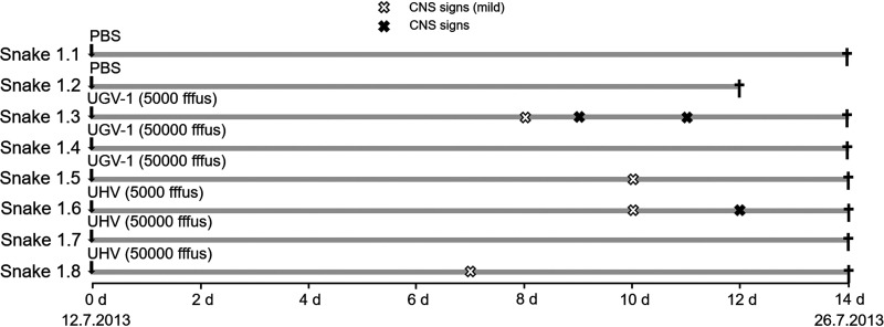 FIG 1