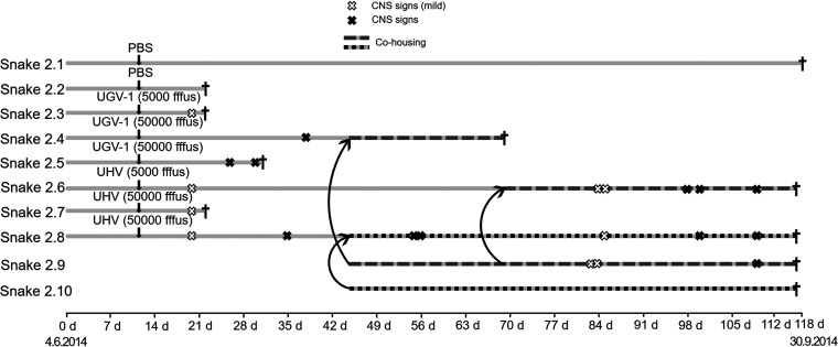 FIG 2