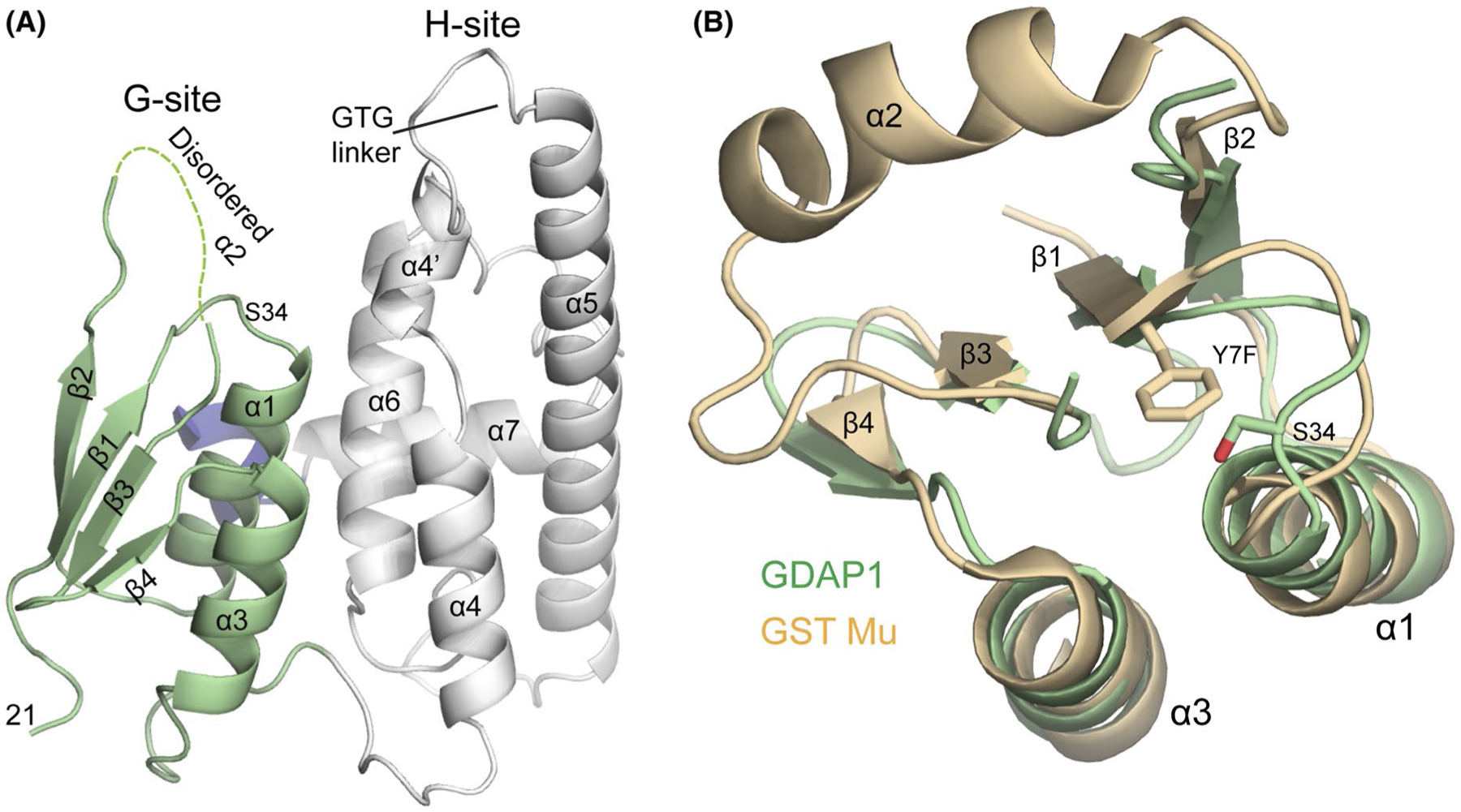 FIGURE 3