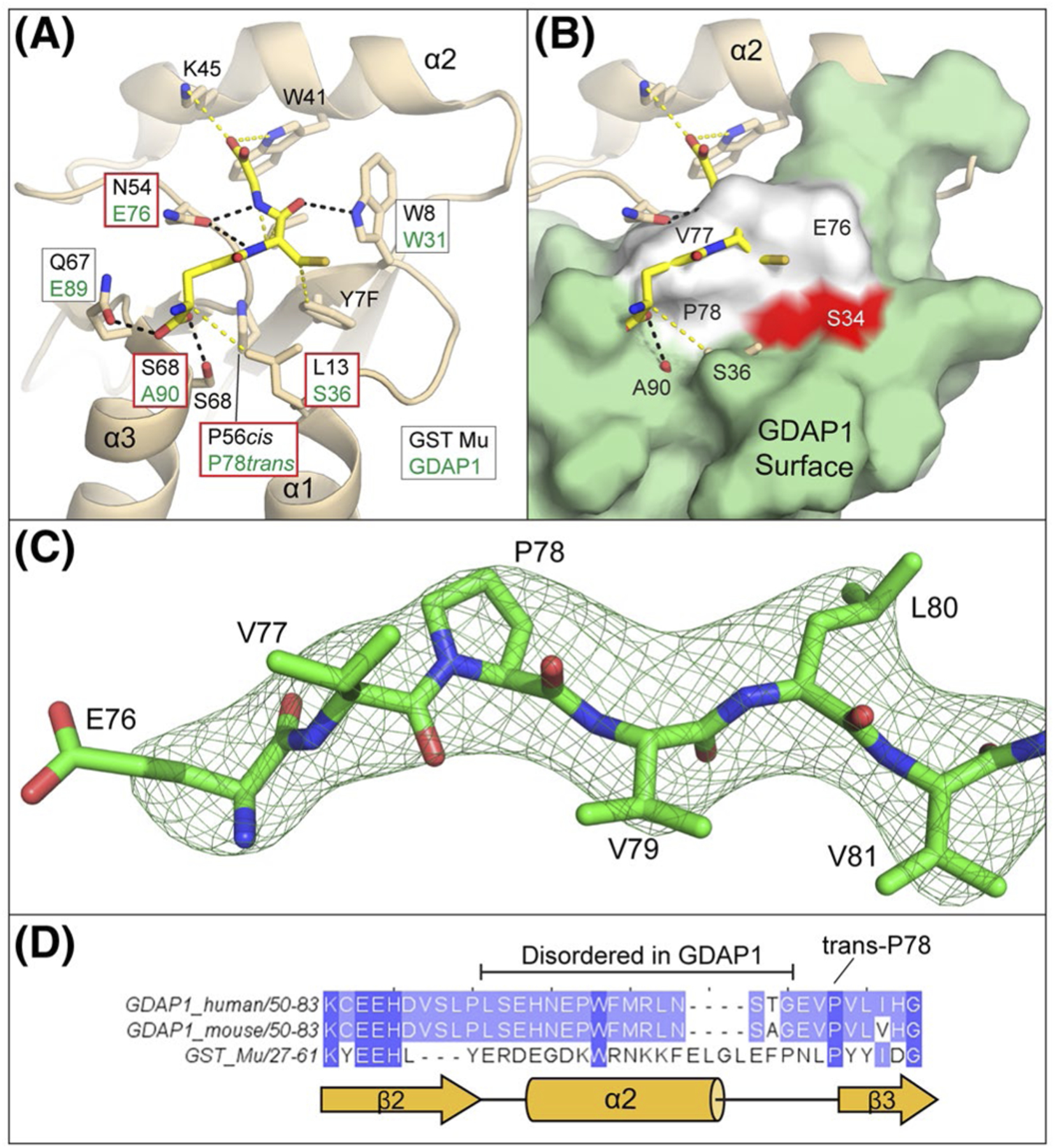 FIGURE 4