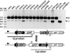 FIG. 6.