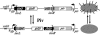 FIG. 1.