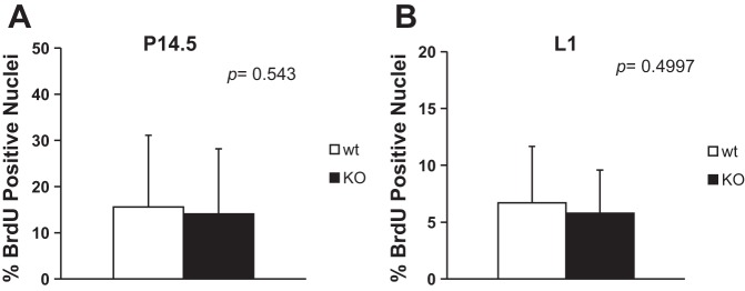 Fig. 12.