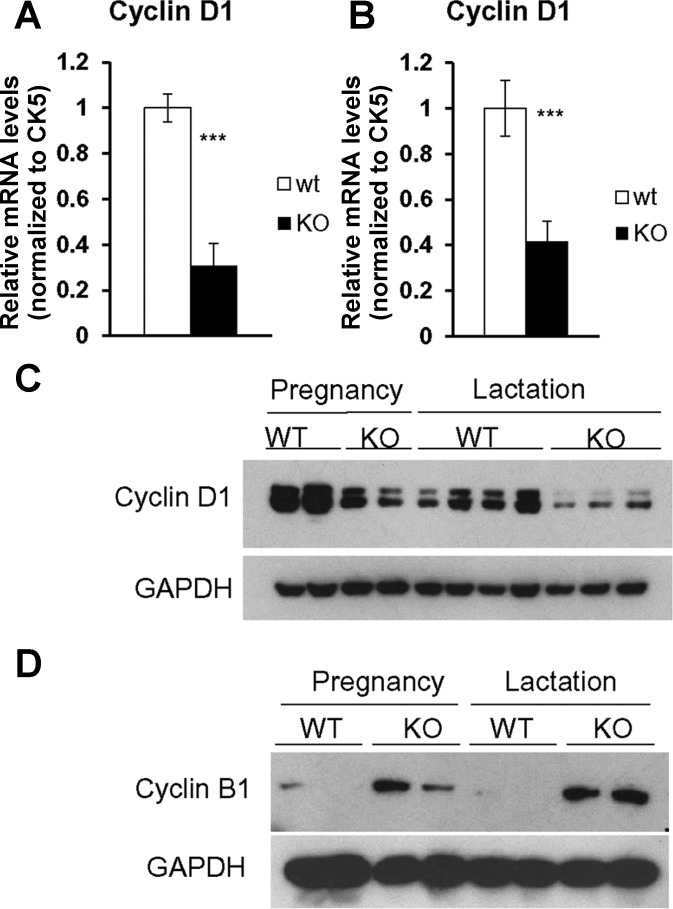 Fig. 10.