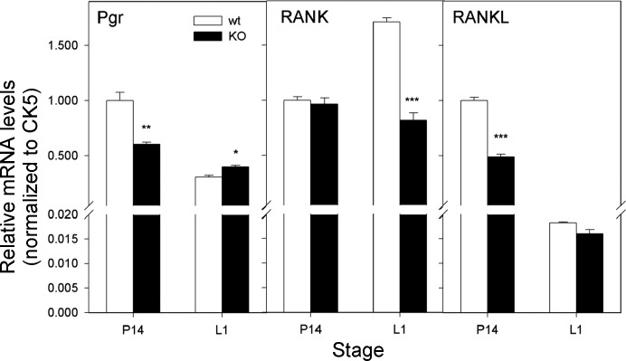 Fig. 11.