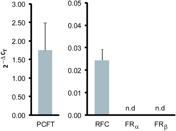 FIGURE 4.