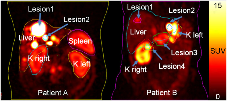 FIGURE 1.