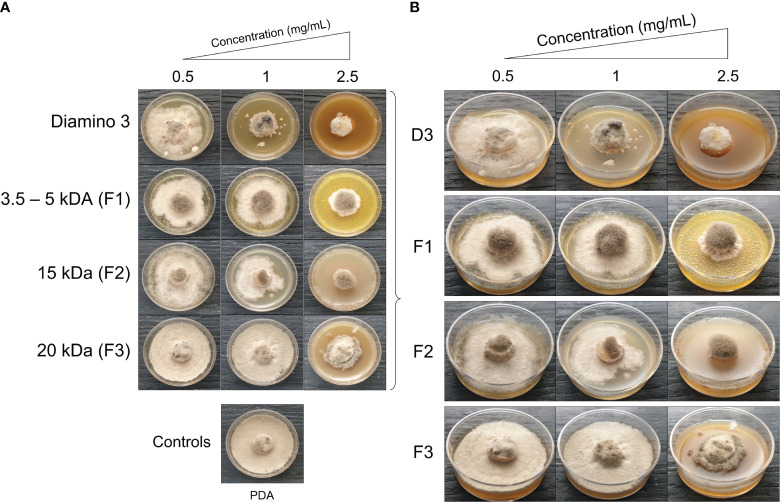 Figure 5