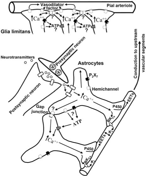 FIG. 7.