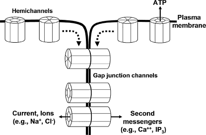 FIG. 1.