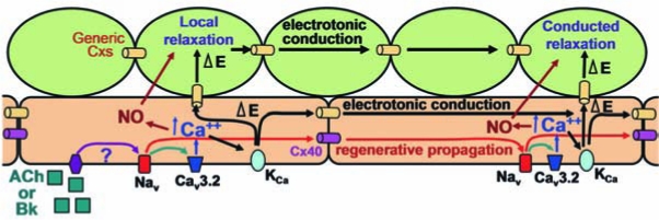 FIG. 6.