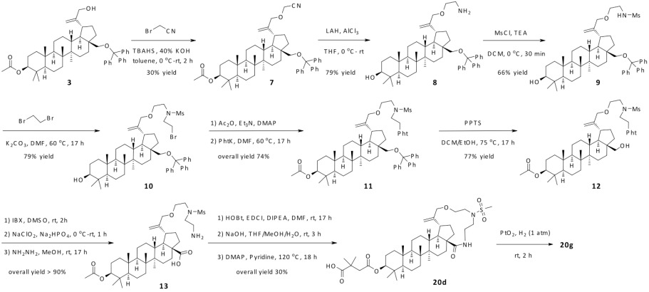 Scheme 2