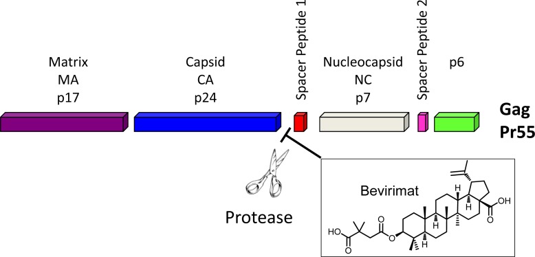 Fig. (1)