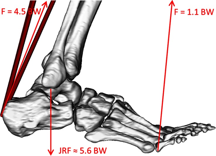 Figure 6