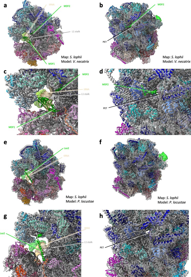 Extended Data Fig. 6