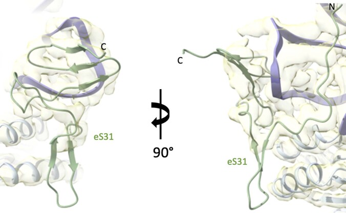 Extended Data Fig. 5