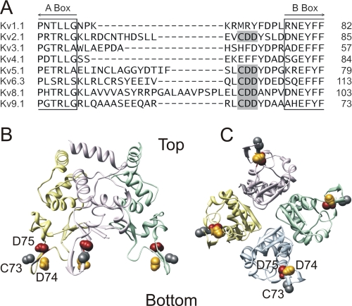 FIGURE 1.