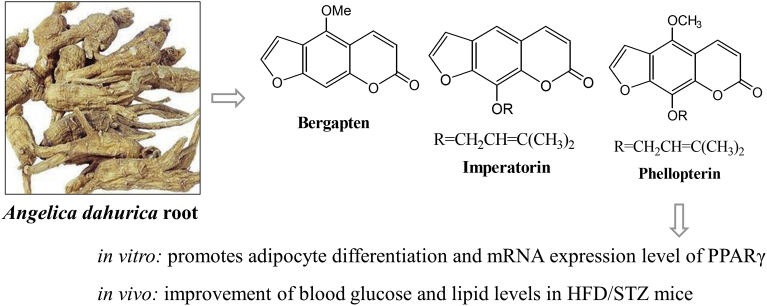 Fig. 4