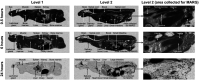 FIG 3
