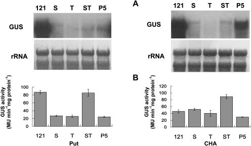 Figure 10.