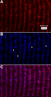 Figure 8