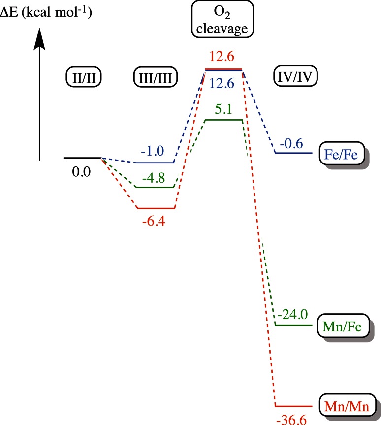 Fig. 5