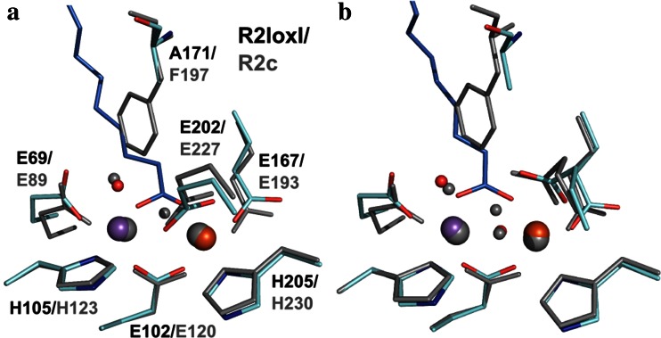 Fig. 7