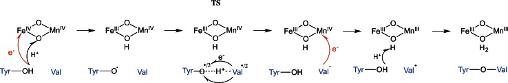 Fig. 6