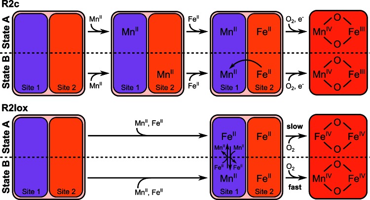 Fig. 3