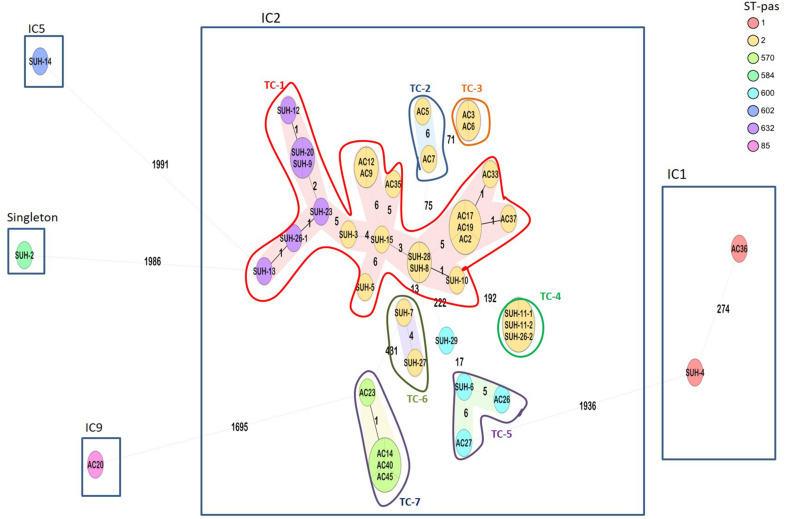 FIGURE 1