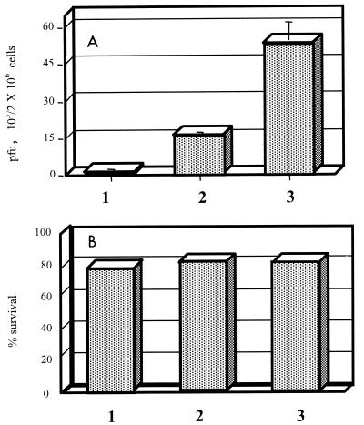 FIG. 7