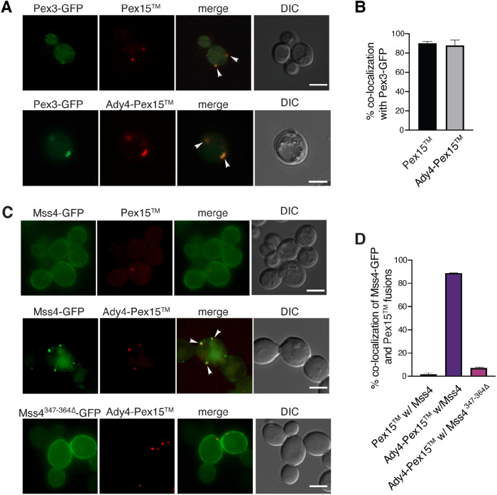 FIGURE 4: