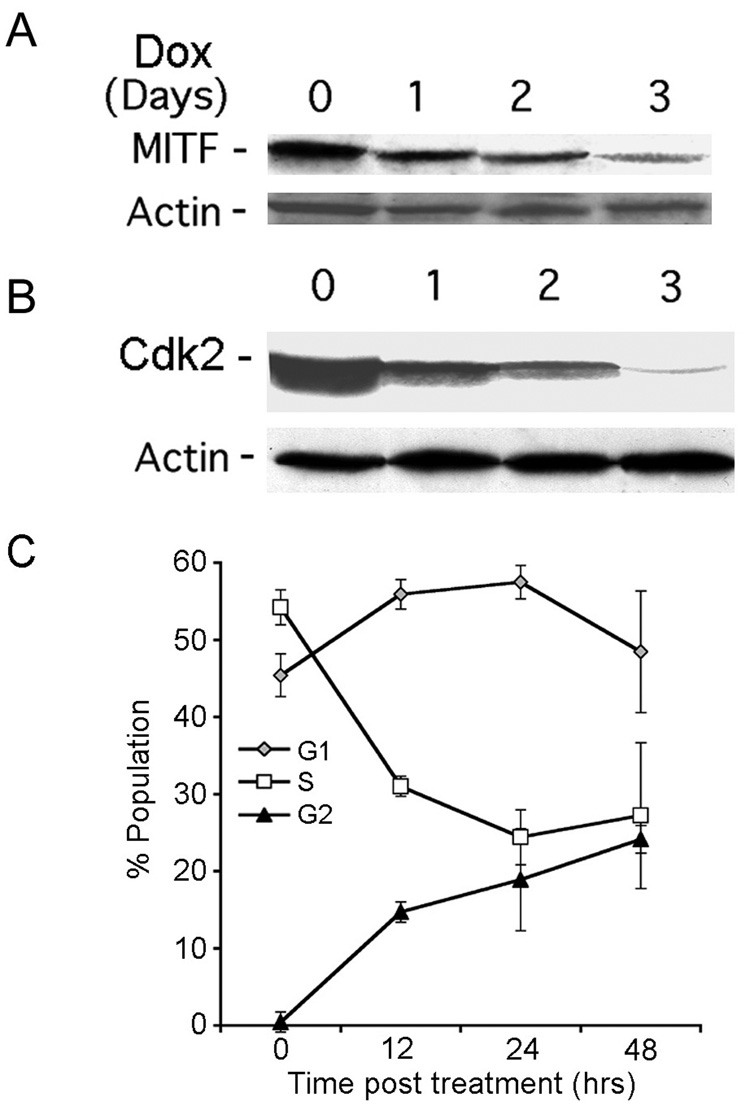 Fig. 8