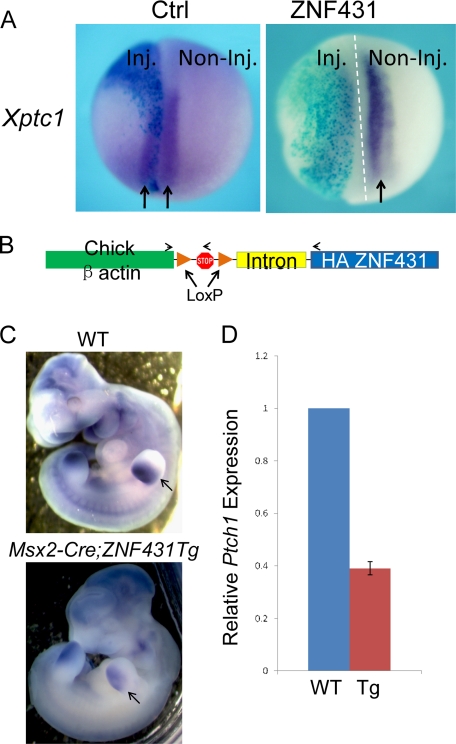 FIGURE 6.