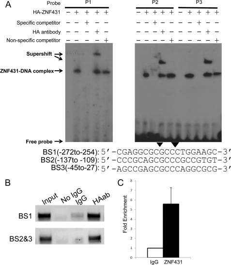 FIGURE 4.