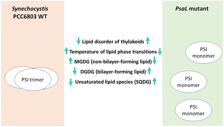 Figure 10.